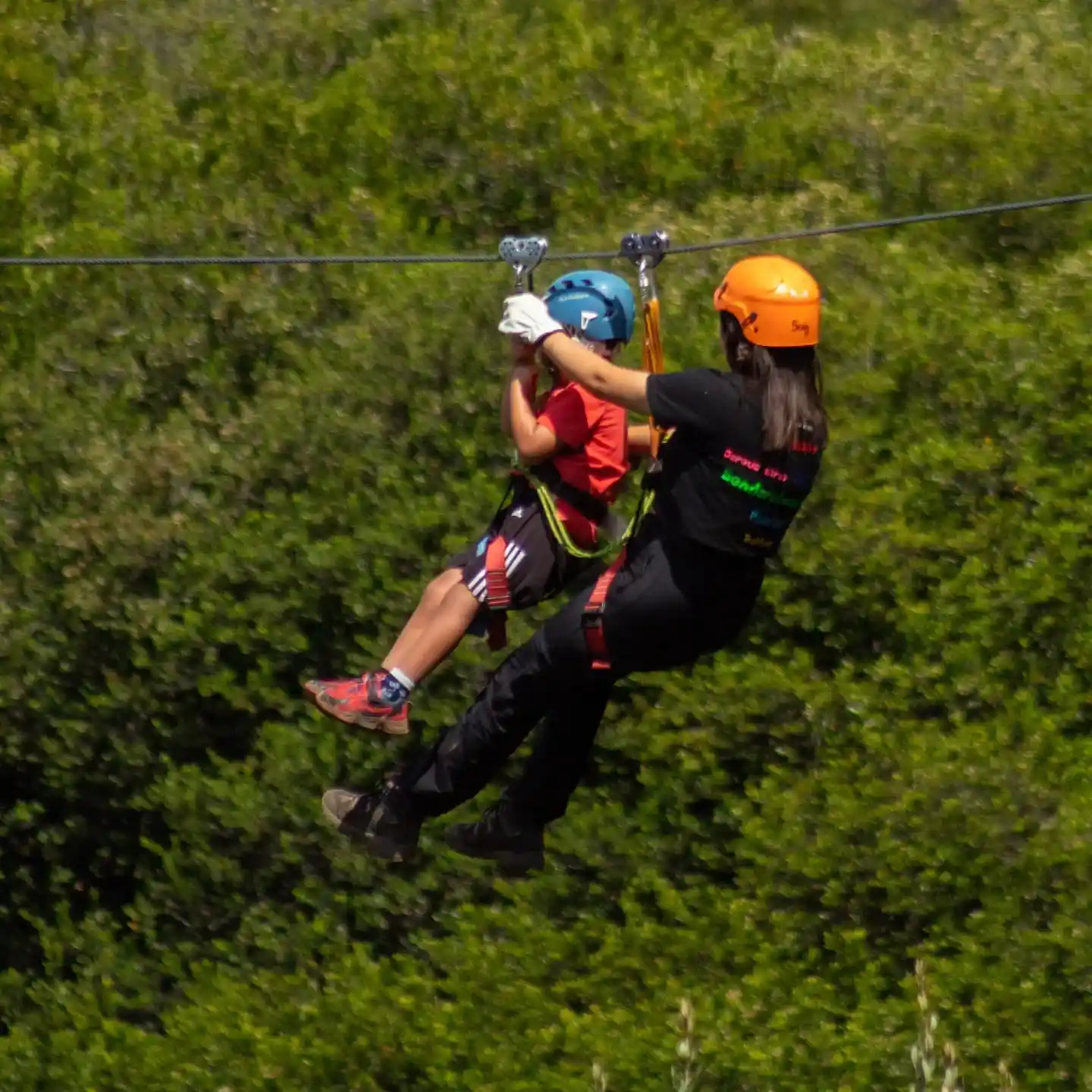 Canopy Salto del Laja